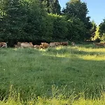 Du Cerisier Casa vacanze Lanouaille