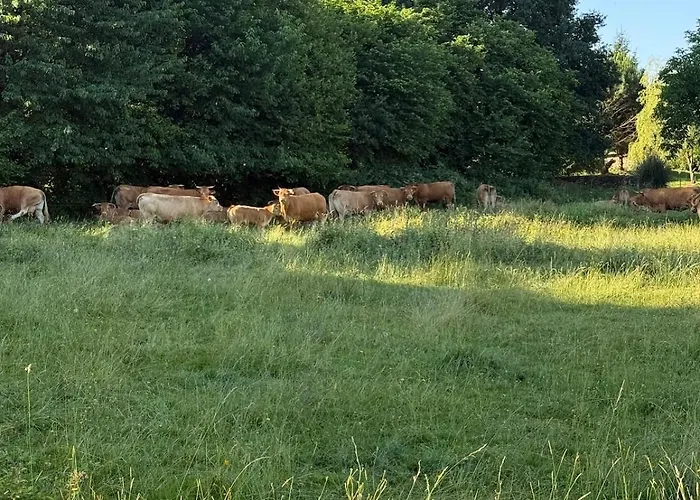 Du Cerisier Сasa de vacaciones Lanouaille